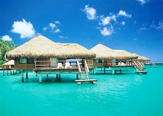 Staalconstructie Houten huizen, geprefabriceerde bungalowhuizen Kits