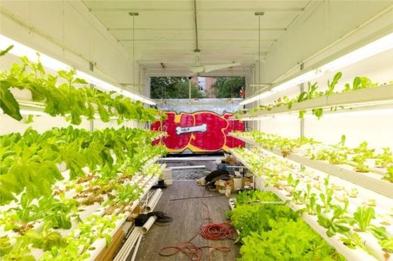 Hydroponic Farming Prefab Container Homes Lichte staal frame Modulair huis